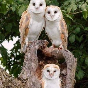 Meet your Posher, Carol